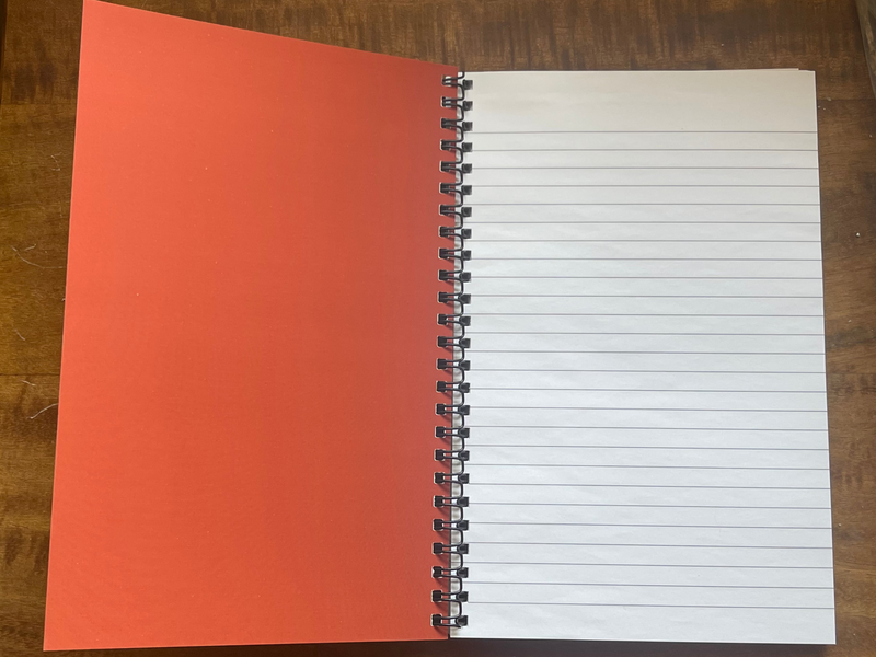 Red Mushrooms notebook