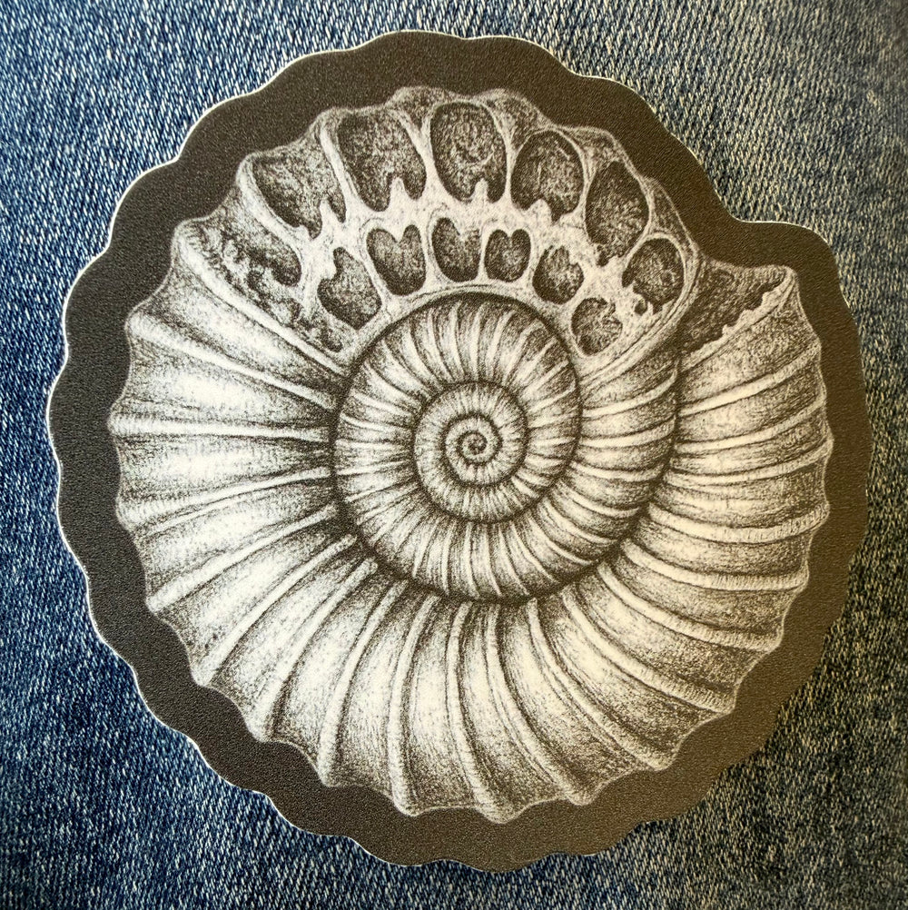 Ammonite Fossil sticker