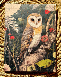 Forest Creatures cards (10 unique images)