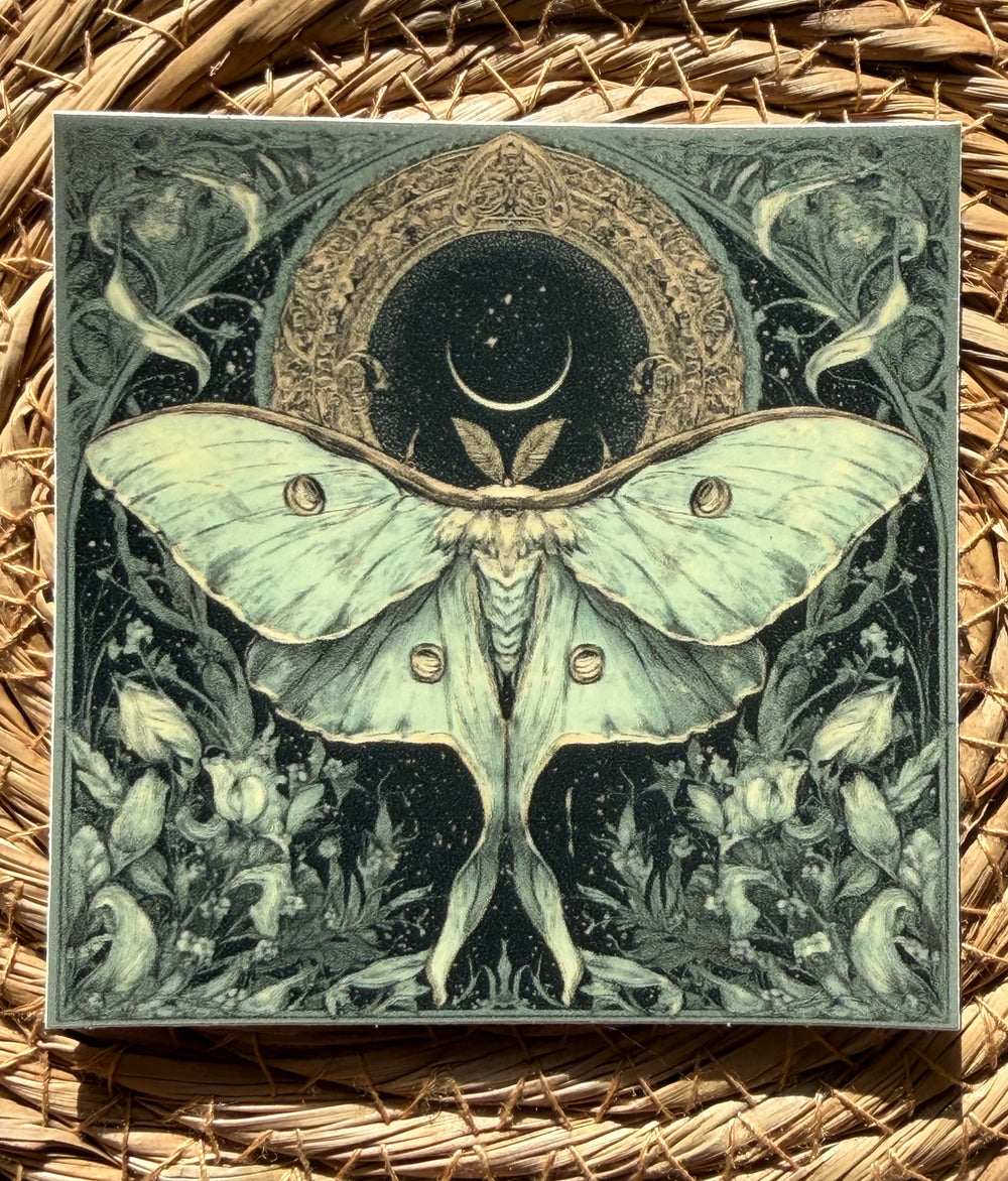 A square vinyl sticker featuring a detailed illustration of a large pale green luna moth centered against a dark starry background with a crescent moon and ornate floral motifs, placed on a woven straw surface.
