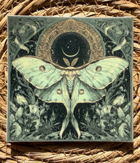 A square vinyl sticker featuring a detailed illustration of a large pale green luna moth centered against a dark starry background with a crescent moon and ornate floral motifs, placed on a woven straw surface.