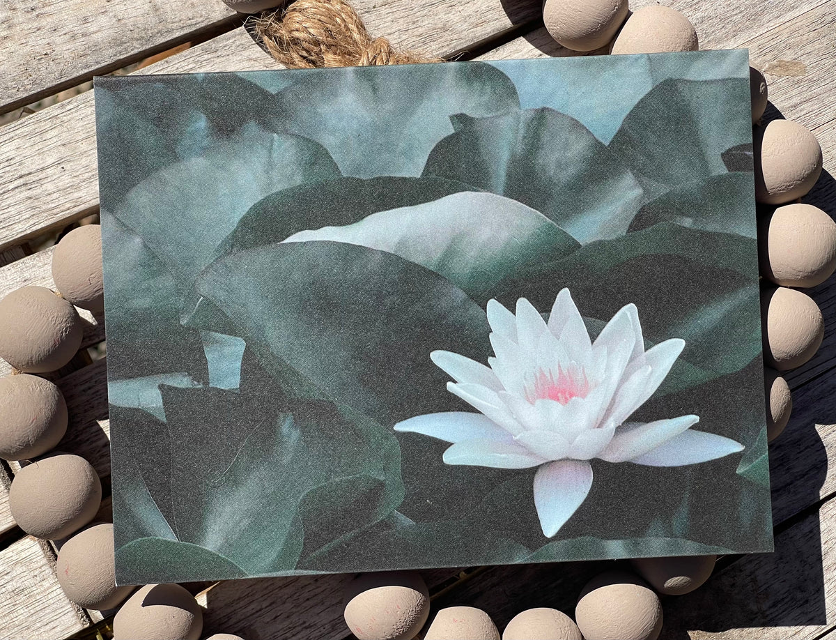 Greeting card with a white water lily on a dark green leaf background, placed on pebbles.