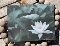 Greeting card with a white water lily on a dark green leaf background, placed on pebbles.