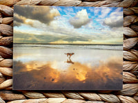 Beach scene with a dog reflection in the water, framed by woven material