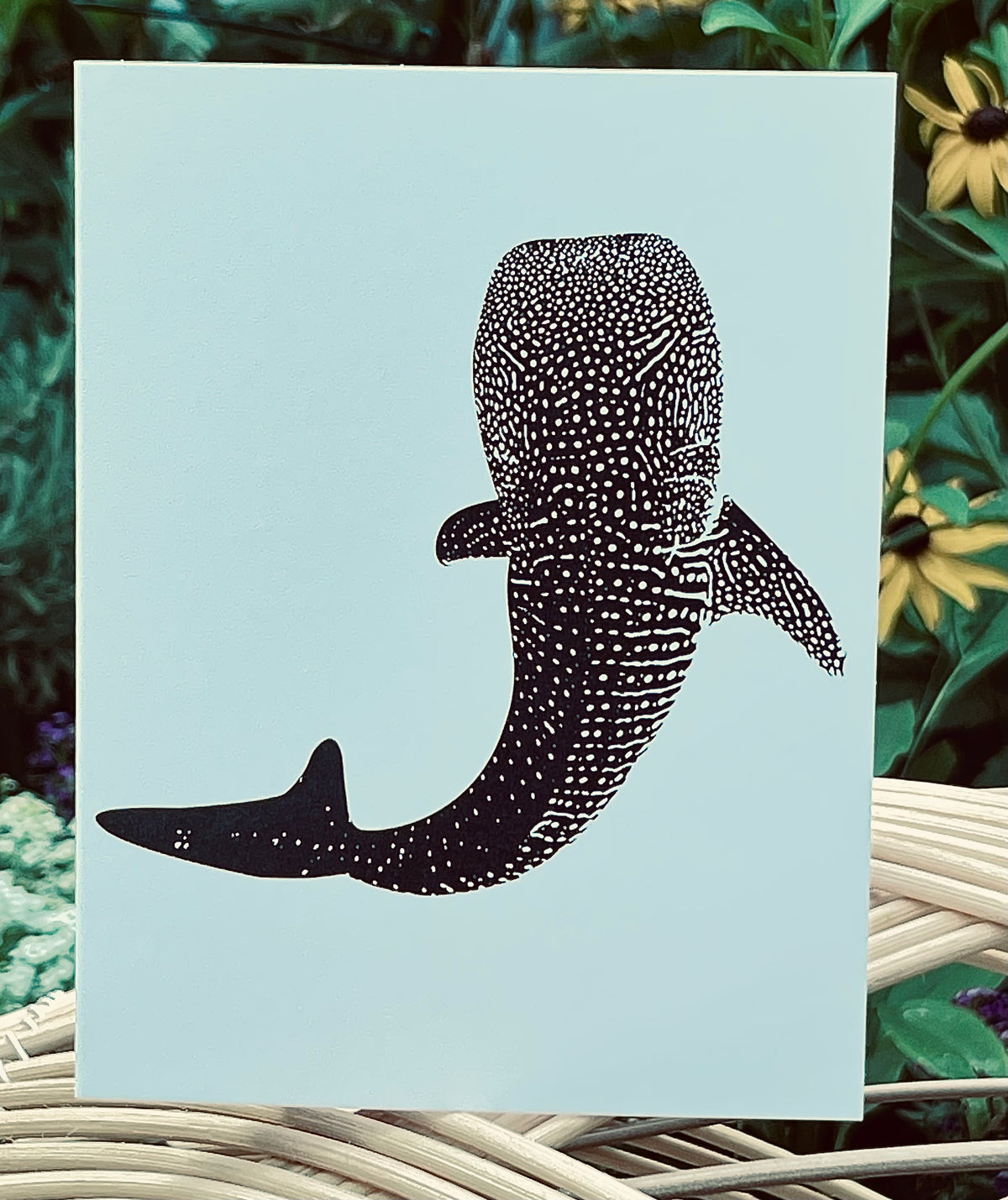 Whale Shark card