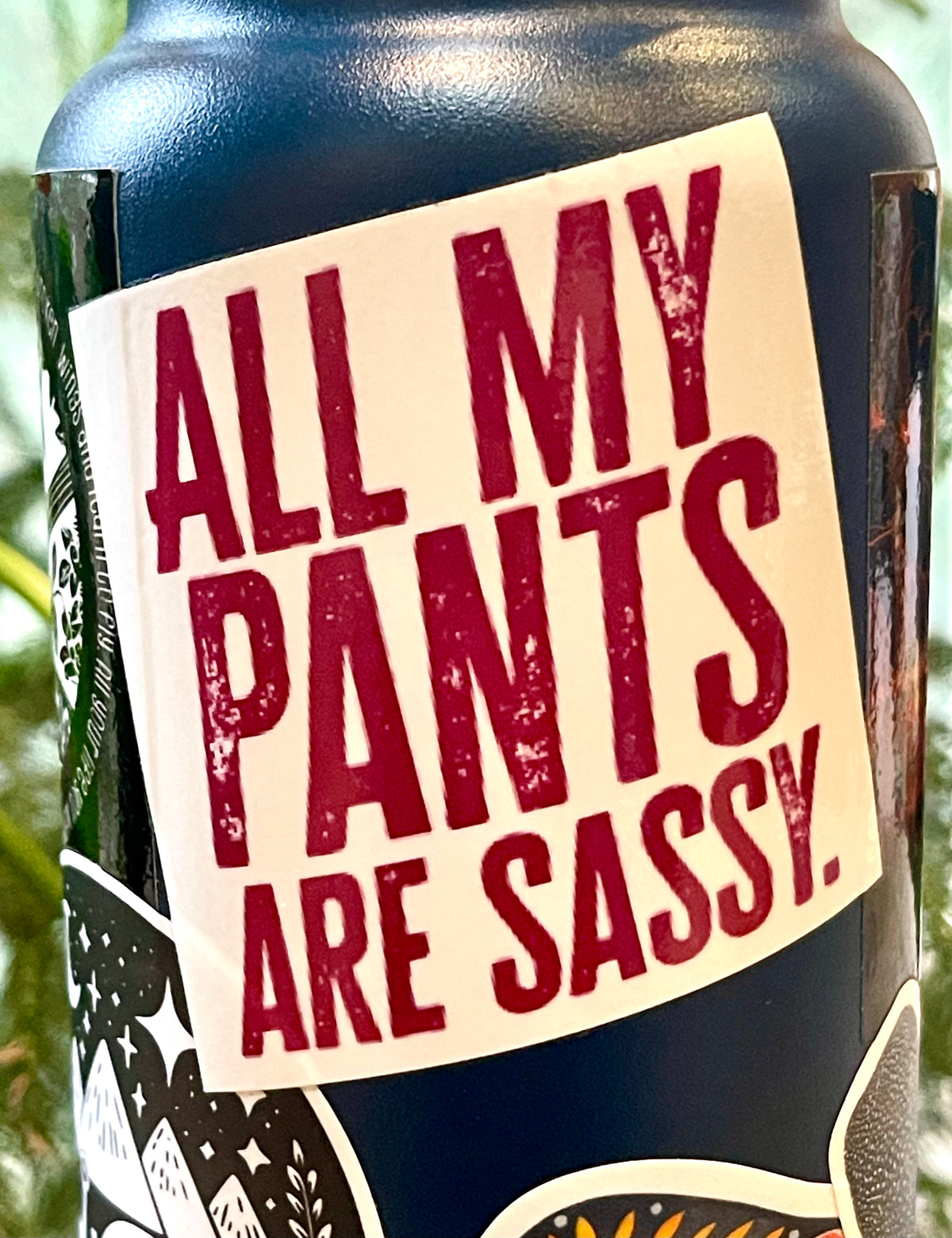 All My Pants Are Sassy sticker